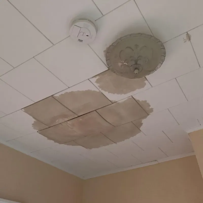 Ceiling Water Damage Repair in South Cleveland, TN