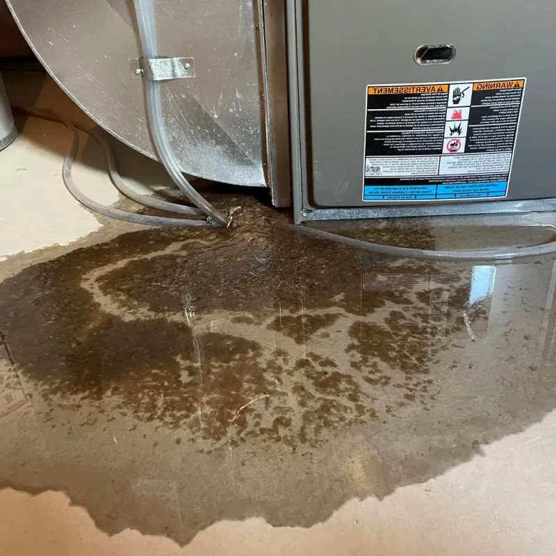 Pipe Burst and Leak Restoration in South Cleveland, TN