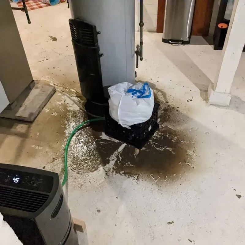 Sewage Backup Cleanup Service in South Cleveland, TN